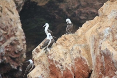 Peru 2011-for web-274