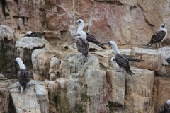 Peru 2011-for web-276