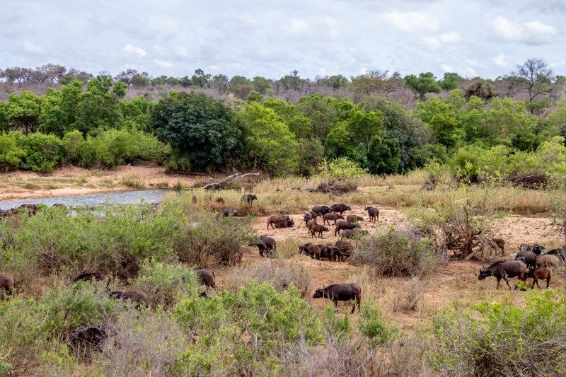 1097-Southern-Africa-2024-109