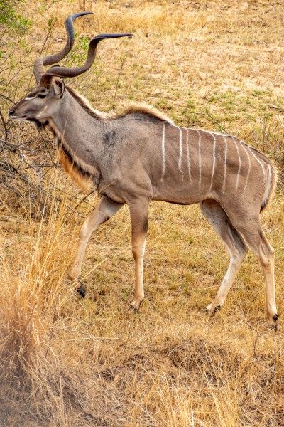 1097-Southern-Africa-2024-116
