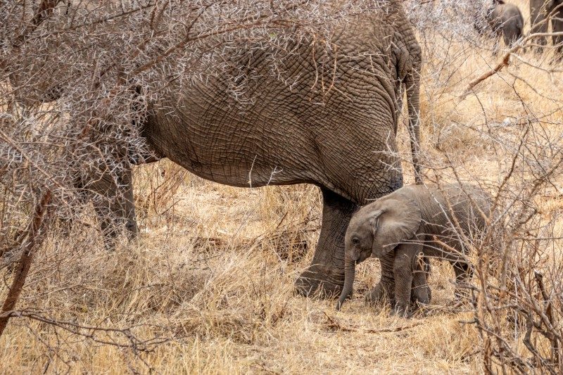 1097-Southern-Africa-2024-140