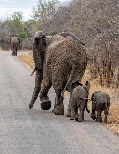 1097-Southern-Africa-2024-157