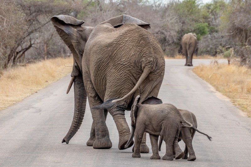 1097-Southern-Africa-2024-158