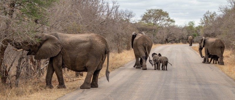 1097-Southern-Africa-2024-161