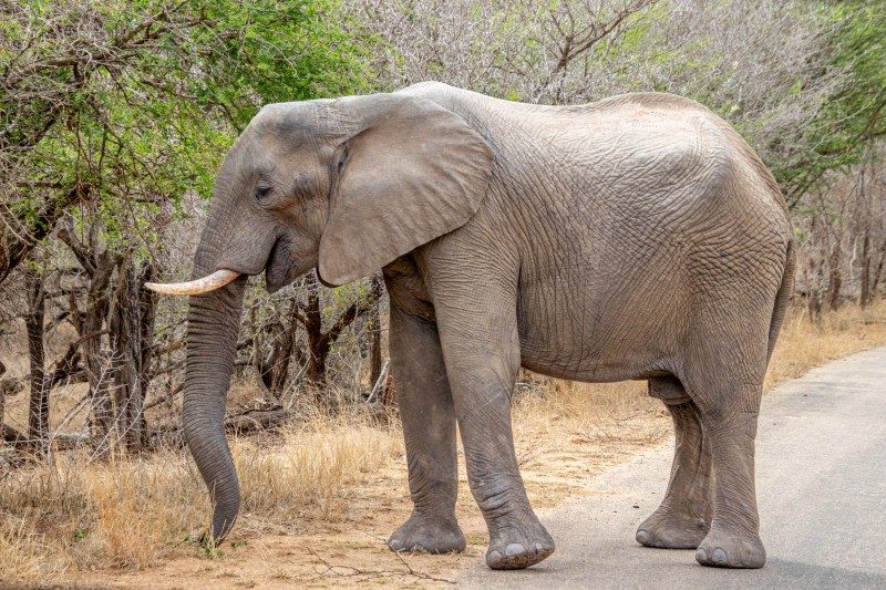 1097-Southern-Africa-2024-173