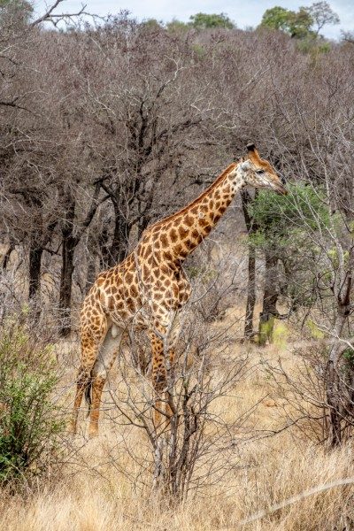 1097-Southern-Africa-2024-176