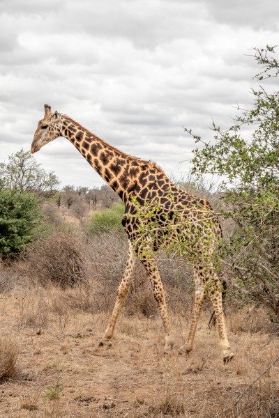 1097-Southern-Africa-2024-208