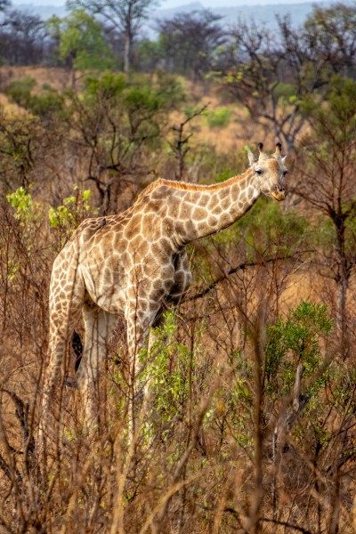 1097-Southern-Africa-2024-21