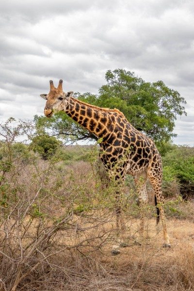 1097-Southern-Africa-2024-216