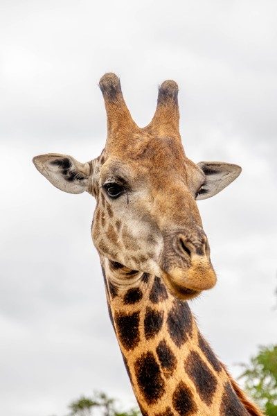 1097-Southern-Africa-2024-217