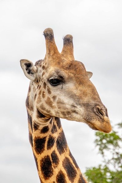 1097-Southern-Africa-2024-218