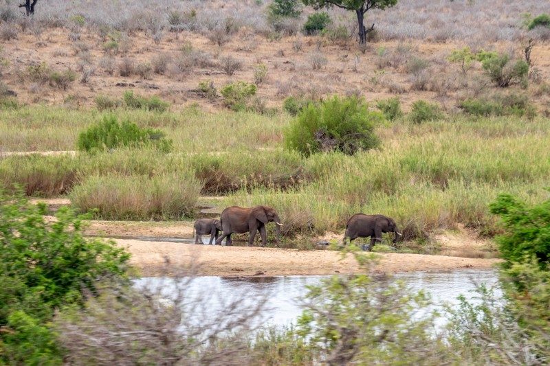 1097-Southern-Africa-2024-230