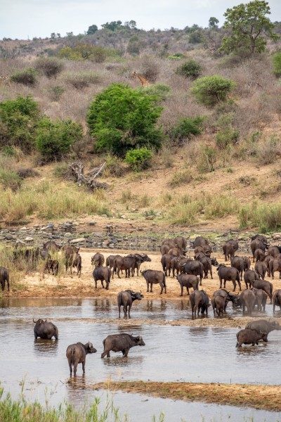 1097-Southern-Africa-2024-252