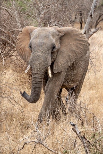 1097-Southern-Africa-2024-286