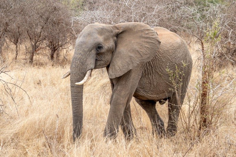 1097-Southern-Africa-2024-287