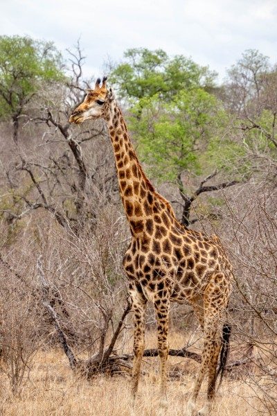 1097-Southern-Africa-2024-309