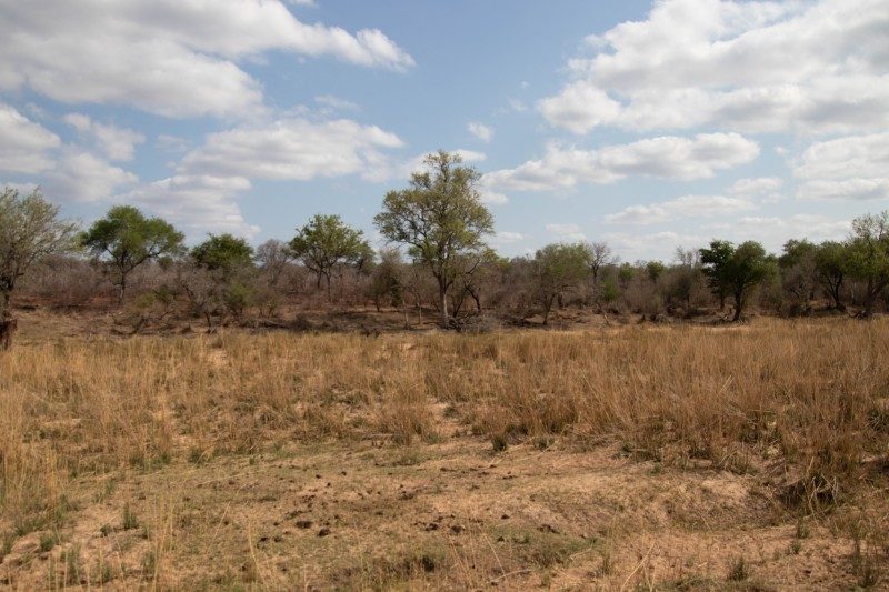 1097-Southern-Africa-2024-353