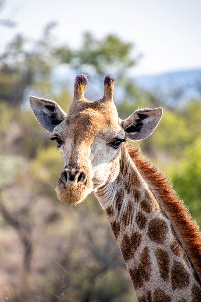 1097-Southern-Africa-2024-384
