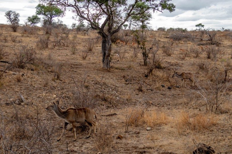 1097-Southern-Africa-2024-95