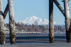 1074 - White Rock 2018-03-10-12.jpg