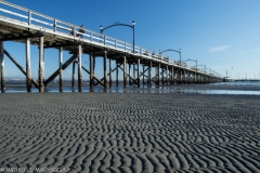 1074 - White Rock 2018-03-10-15.jpg