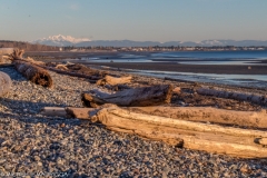 1074 - White Rock 2018-03-10-58.jpg
