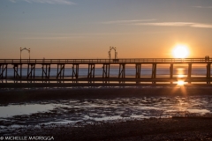 1074 - White Rock 2018-03-10-77.jpg